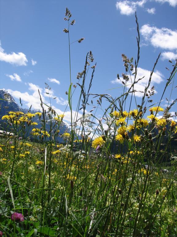 Ferienwohnungen Durst Roswitha Schattwald Esterno foto